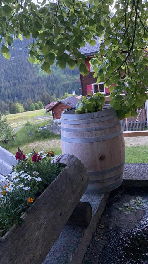 Gasthaus Edelweiss Langwies Ngoại thất bức ảnh